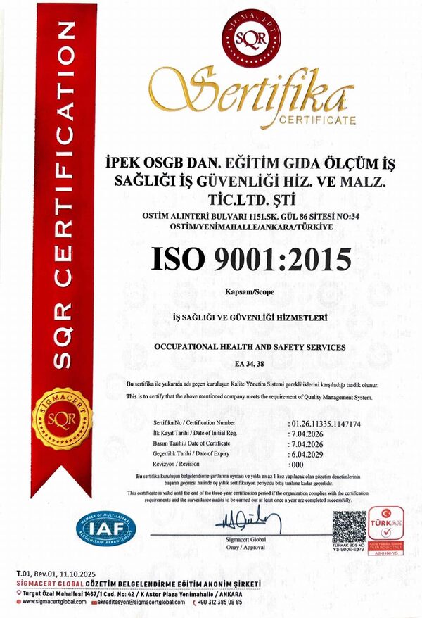 ISO 9001:2015 önizleme
